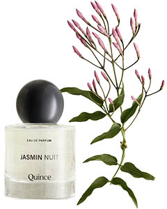 quince-jasmine-nuit-eau-de-parfum